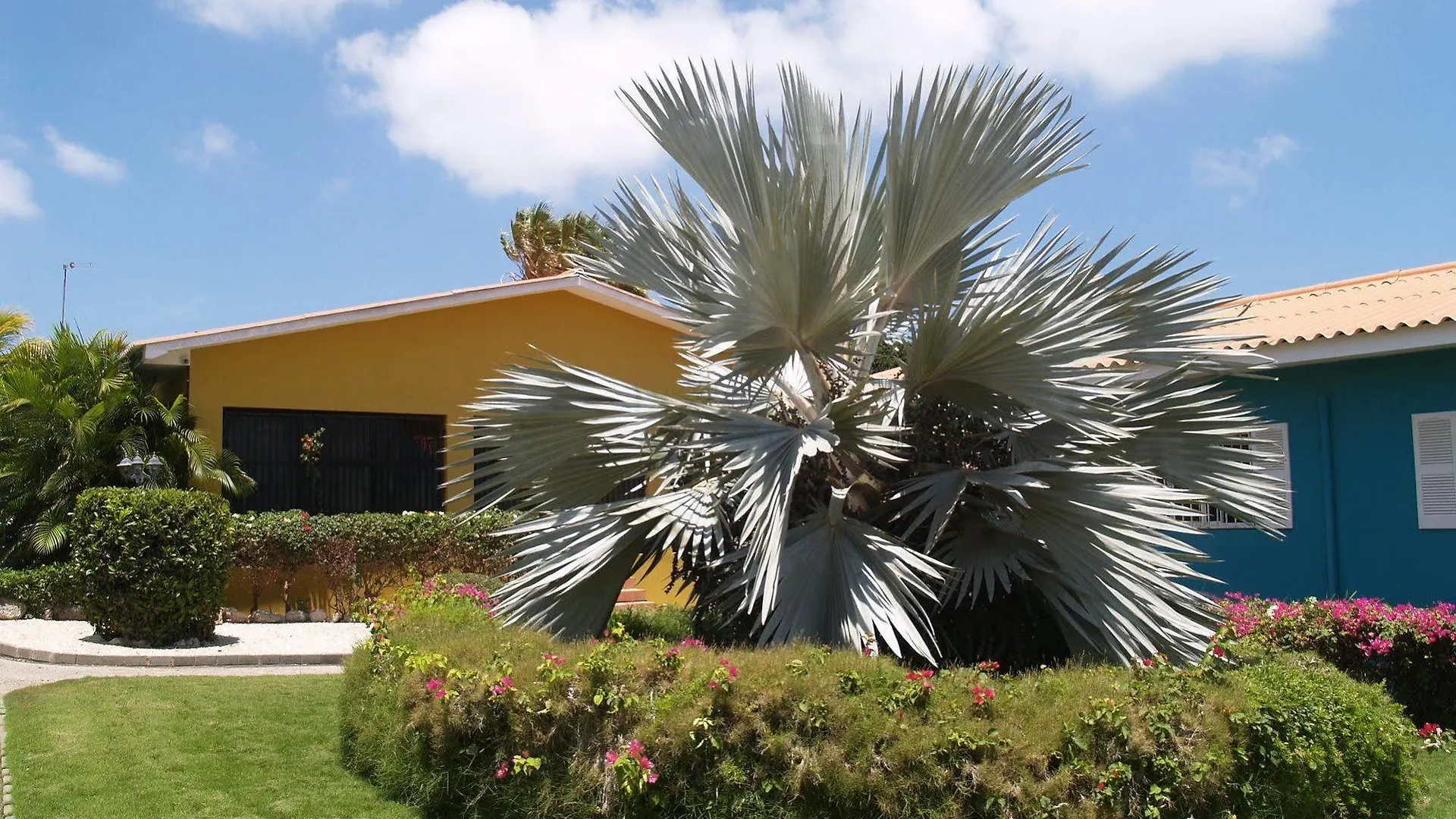 Tuk Tropical Boutique Resort Jan Thiel Hotel