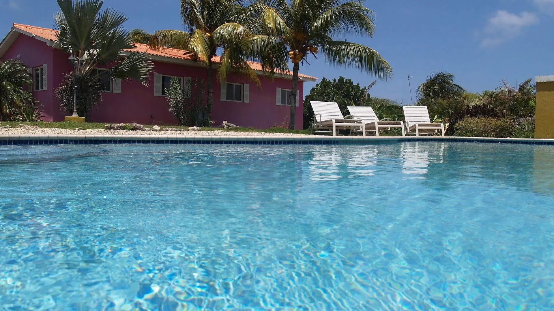 Tuk Tropical Boutique Resort Jan Thiel Hotel